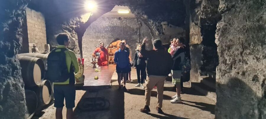 Frascati: Tour in E-Bike with Wine Tasting - What the wine stop feels like in real life