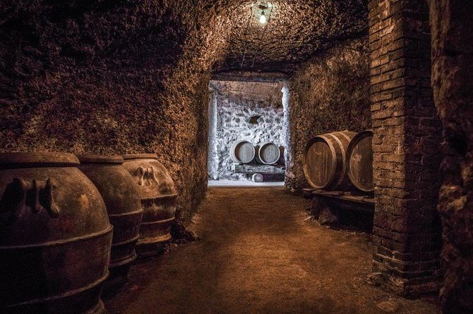 Frascati Wine Tasting Tour: The Flavors of the Roman Countryside - Old Frascati Food & Wine Tours: the winery portion that sets the tone