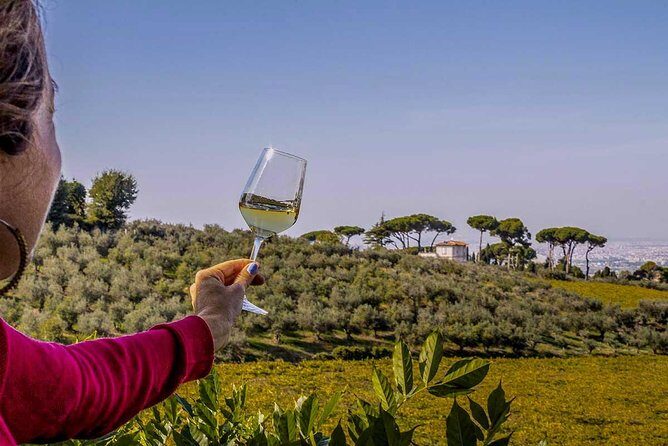 Frascati Wine Tasting Tour: The Flavors of the Roman Countryside - The tasting lineup: what you’ll sip and how to think about it