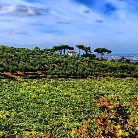 Frascati Wine Tasting Tour: The Flavors of the Roman Countryside - Lunch in an old Osteria: cheeses, salumi, and homemade pasta