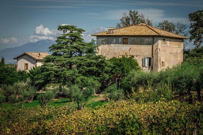 Frascati Wine Tasting Tour: The Flavors of the Roman Countryside - Getting to Frascati without renting a car