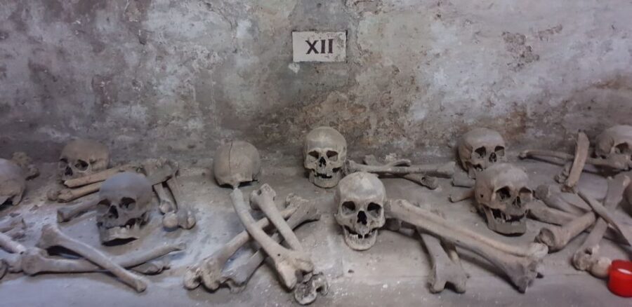 From Civitavecchia: Guided Tour of the Catacombs of St. Seba - The surface reset: garden time and returning to Civitavecchia