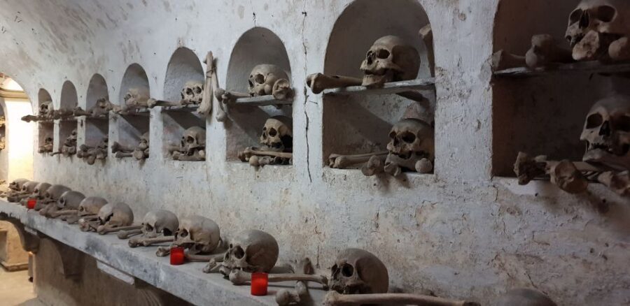 From Civitavecchia: Guided Tour of the Catacombs of St. Seba - Practical stuff that will save you time (and discomfort)