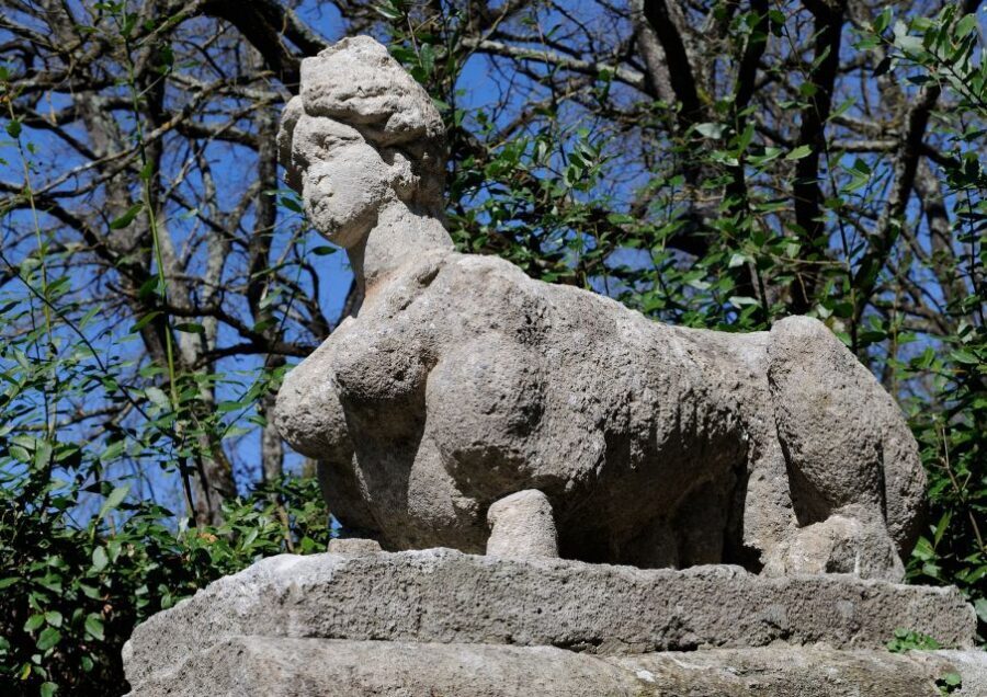 From Civitavecchia: the Dying City and Monster Park Tour - Practical tips so the day goes smoothly