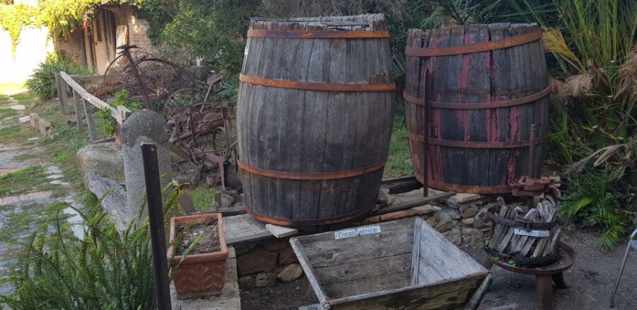 From Civitavecchia: Tuscany-Latium Wine Tour with Tastings - The second cellar: a red-and-white comparison you can actually feel