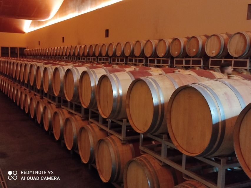 From Civitavecchia: Tuscany-Latium Wine Tour with Tastings - Price and value check: what you pay for and what you get