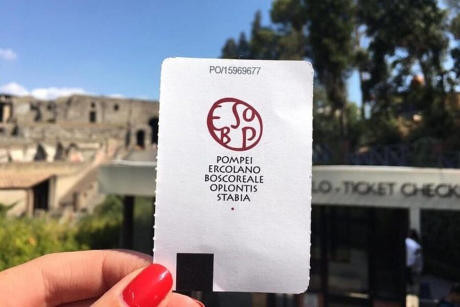 From Herculaneum to Pompeii: Audioguides + Entrance Tickets - Tickets and inclusions: what you truly get for the $66.84 price