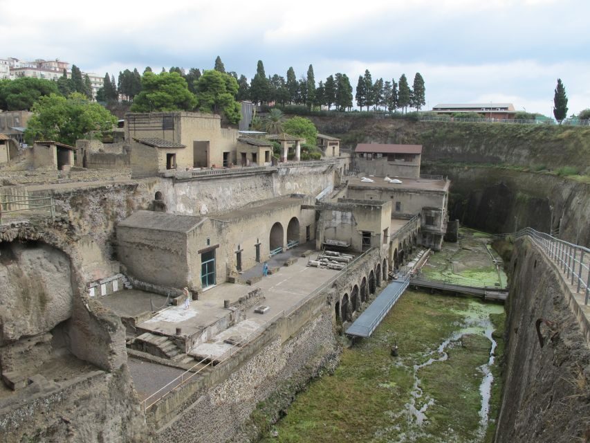From Naples: 2-Hour Herculaneum Kid-Friendly Tour - Practical tips for families on this kind of Herculaneum walk