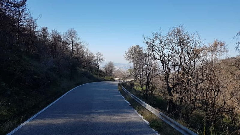 From Naples: Day Trip to Mount Vesuvius - Return to Naples: simple, but timing matters