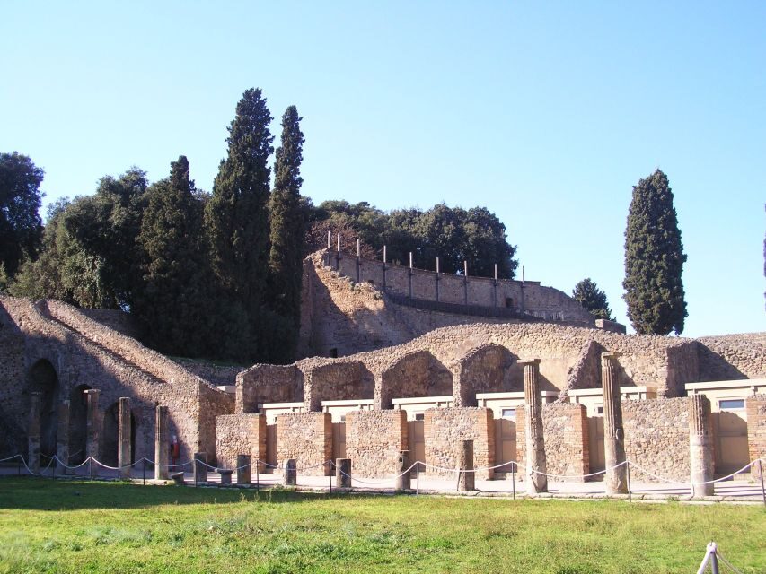From Naples: Guided Pompei & Mount Vesuvius with Pizza Lunch - From Naples to Pompeii: a smooth start that matters