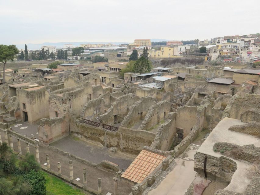 From Naples: Herculaneum, Mount Vesuvius & Pompeii Day Trip - Who This Day Trip Fits Best