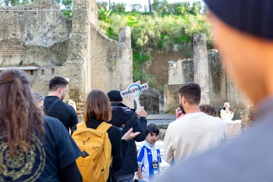 From Naples: Herculaneum Skip-the-Line Guided Tour - Key highlights worth planning for