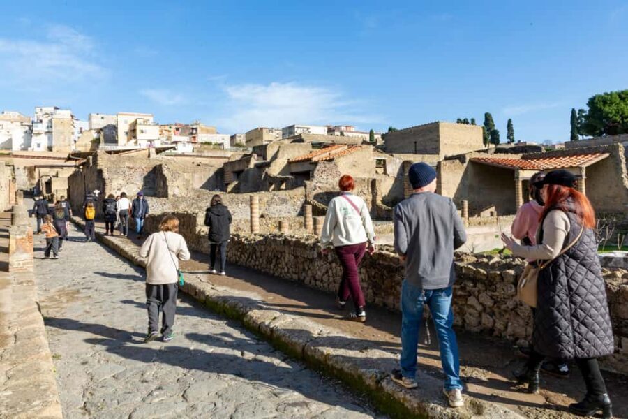 From Naples: Herculaneum Skip-the-Line Guided Tour - Priority Entry at Herculaneum: What “Skip-the-Line” Buys You
