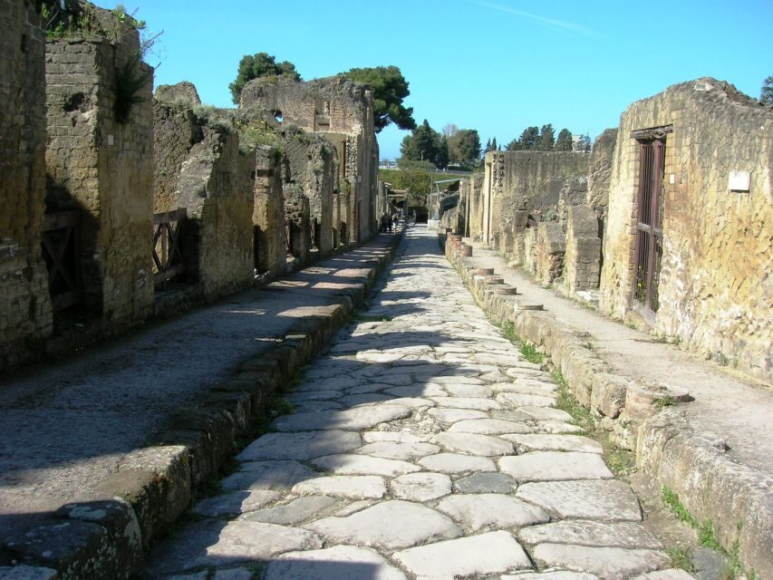 From Naples: Herculaneum Skip-the-Line Guided Tour - House of Neptune and Amphitrite, Gymnasium, and the Forum