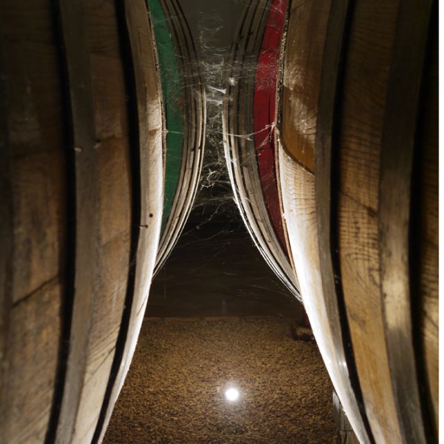 From Naples: Irpinia Wine Tour with 6 Tastings - Irpinia from Naples: what the ride gives you