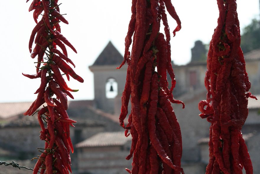 From Naples: Irpinia Wine Tour with 6 Tastings - Stop 2: Montemarano and Sertura Vini d’Irpinia (Aglianico territory and Taurasi DOCG)