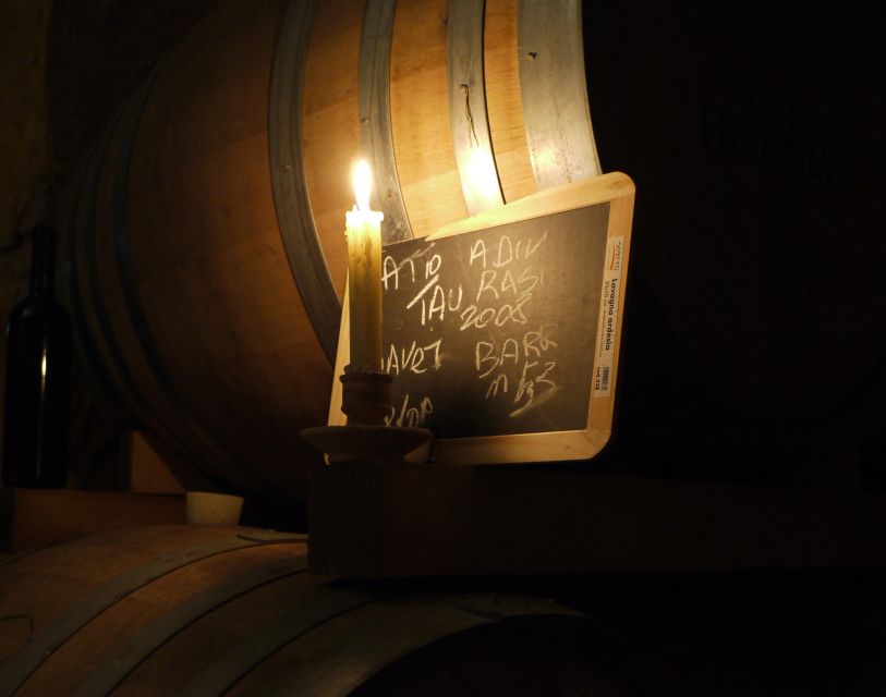 From Naples: Irpinia Wine Tour with 6 Tastings - Who should book this Irpinia wine tour