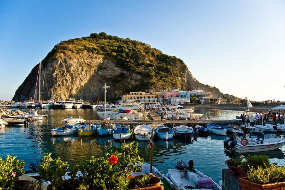 From Naples: Ischia Day Trip with Ferry Tickets and Lunch - Should you book this Naples to Ischia day trip?