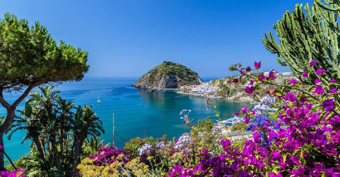 From Naples: Ischia Day Trip with Ferry Tickets and Lunch - Your included lunch on Ischia: where it helps and where it can disappoint