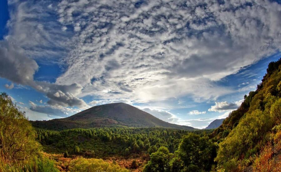 From Naples: Mount Vesuvius Half-Day Tour with Lunch - From Naples pickup to Vesuvius: how the timing really feels