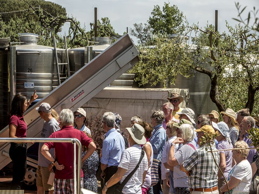 From Naples: Pompeii and Wine Tasting Tour with Lunch - Key things that make this tour worth your time