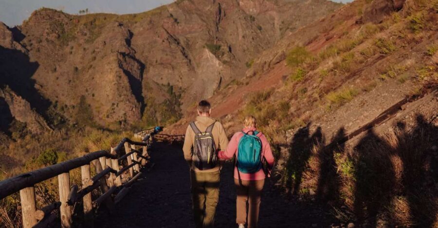 From Naples: Pompeii & Mount Vesuvius Full-Day Private Tour - Pompeii, But With a Game Plan