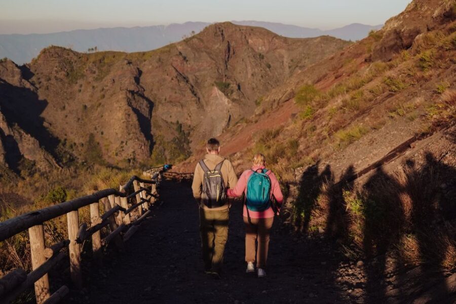 From Naples: Pompeii & Mount Vesuvius Full-Day Private Tour - Mount Vesuvius: Crater Rim Views With Real Drama