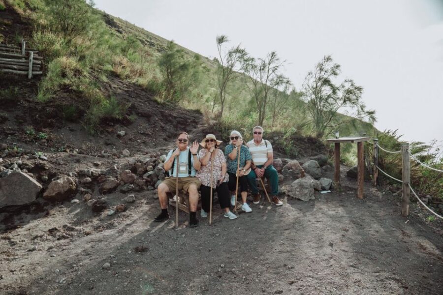 From Naples: Pompeii & Mount Vesuvius Full-Day Private Tour - Who Should Book This Tour