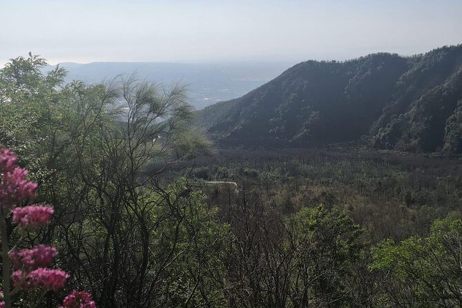From Naples: Pompeii & Mount Vesuvius Full-Day Tour with Lunch - Vesuvius National Park: Views, Timing, and the Hike Reality