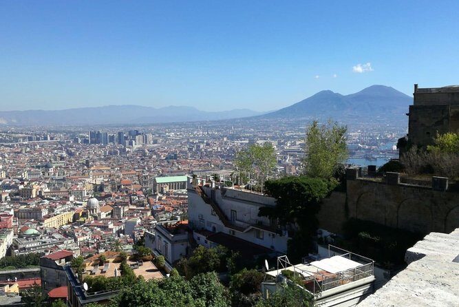 From Naples: Pompeii & Mount Vesuvius Full-Day Tour with Lunch - Pompeii Priority Access: What You Can Expect on the Ground