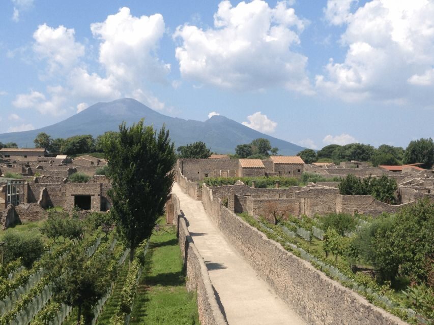 From Naples: Pompeii Ruins VIP Guided Tour - What makes this a true VIP-style day trip