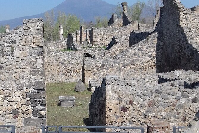 From Naples: Pompeii & Wine Tasting" Private Day Tour - Who This Private Pompeii and Wine Day Suits Best