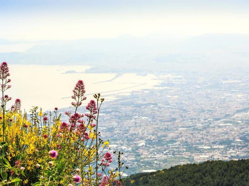 From Naples Port: Pompeii and Mt. Vesuvius Day Trip - Naples Port pickup to Vesuvius: simple logistics that actually work