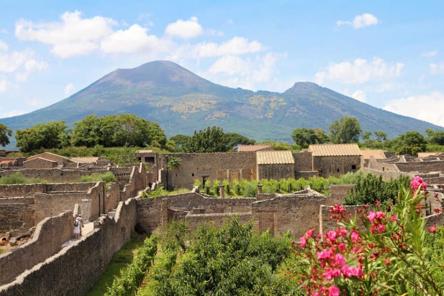 From Naples Port:Pompeii+Vesuvius tour - Key highlights worth planning around