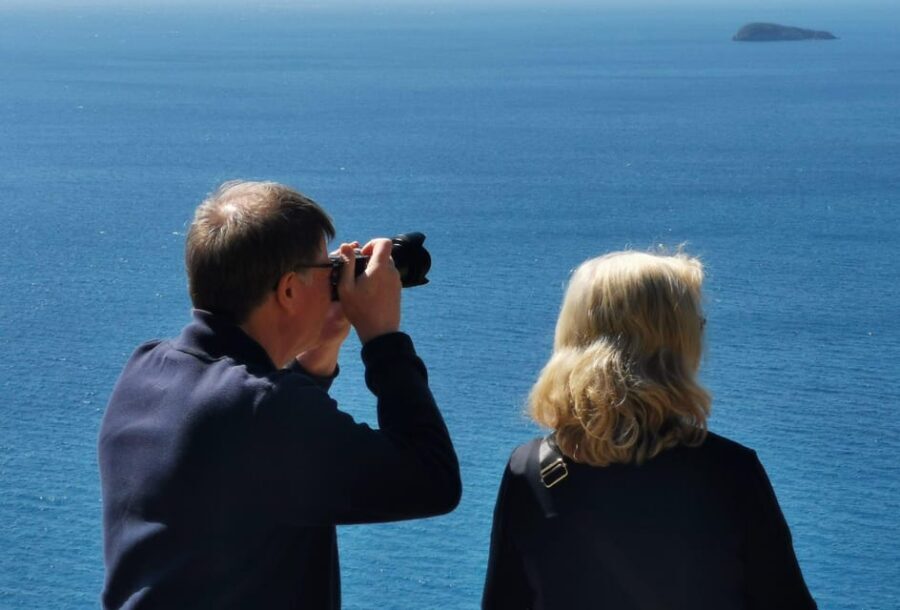 From Naples: Private Tour to Pompeii, Sorrento, and Positano - From Naples pickup to a comfortable ride you don’t dread