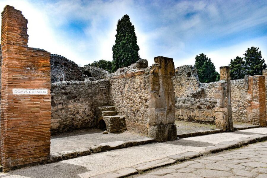 From Naples: Ruins of Pompeii - Guides, language options, and how the tour stays organized
