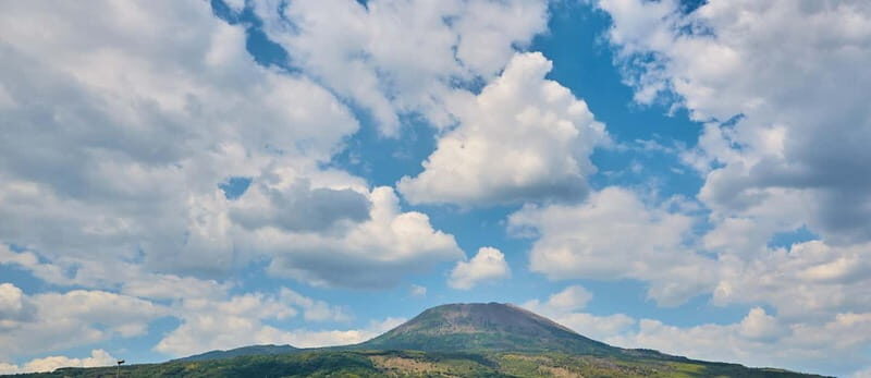 From Naples: Vesuvius Easy Tour - Who should book this Vesuvius Easy Tour—and who should skip it