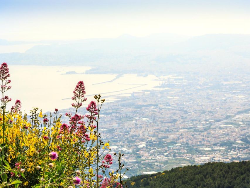 From Naples_Pompeii&Vesuvius - Getting From Naples: The meeting point that saves your morning