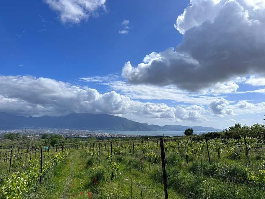 From Pompeii: Mount Vesuvius Horseback Riding Tour - From Pompeii Pickup to Vesuvius Air: What the Day Actually Feels Like