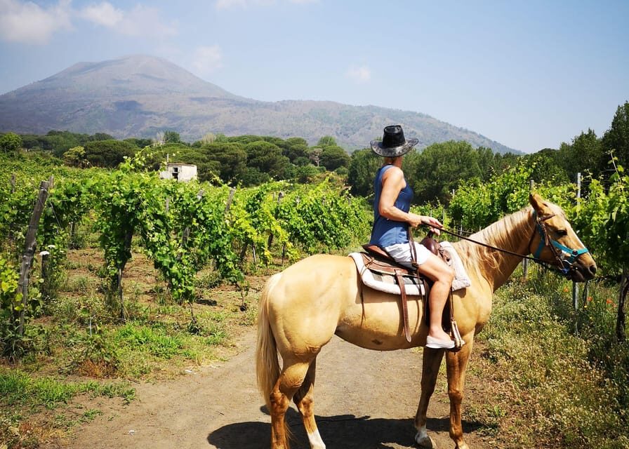 From Pompeii: Mount Vesuvius Horseback Riding Tour - The Main Hour on Horseback: Grapevines Near Vesuvius