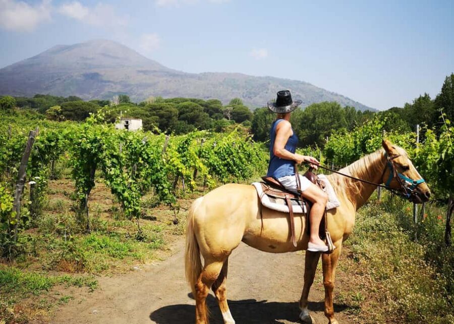 From Pompeii: Mount Vesuvius Horseback Riding Tour - Price and Value: What You’re Really Paying For at $79.30