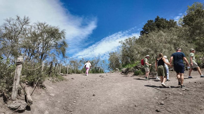 From Pompeii: Mount Vesuvius with bus, ticket and audioguide - Is this tour good value at $39?