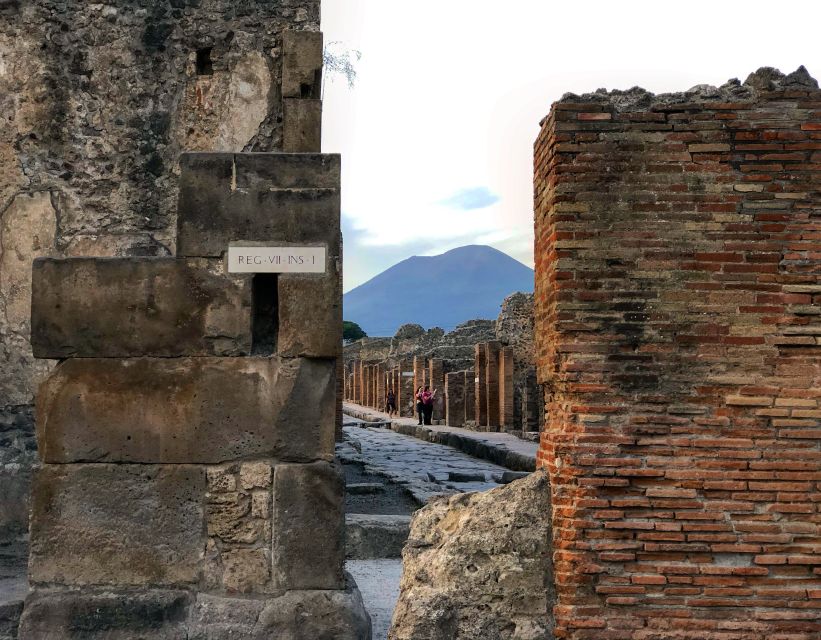From Positano: Pompeii and Vesuvius Guided Tour - Price and Value: Does $223.28 Make Sense for One Day?
