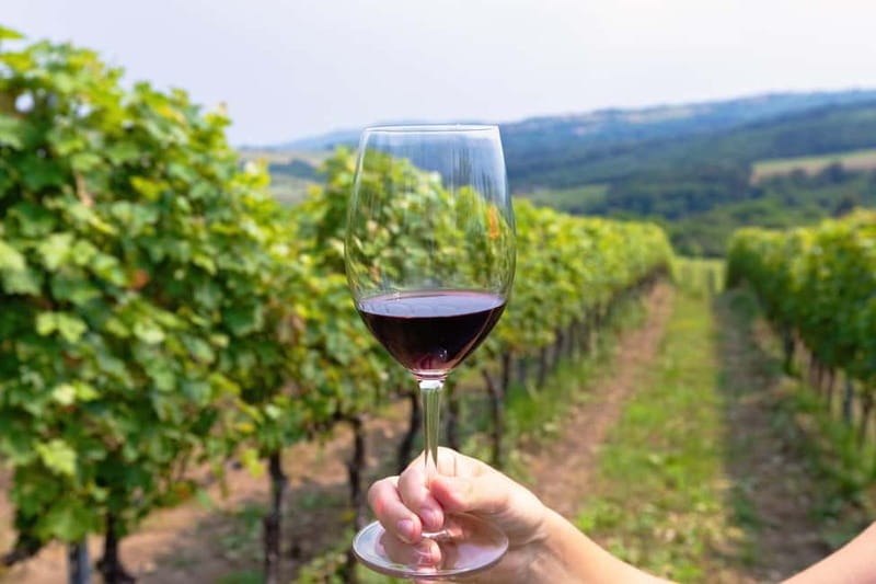 From Roma: Montepulciano and Montalcino, on the Wine Routes - The first stretch: why the coach break matters