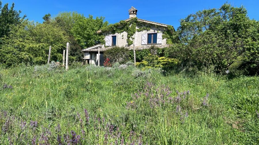 From Rome: Bracciano Lake & Calcata Day Trip, Wines & Lunch - Why This Rome-to-Lazio Day Trip Feels Like a Real Escape
