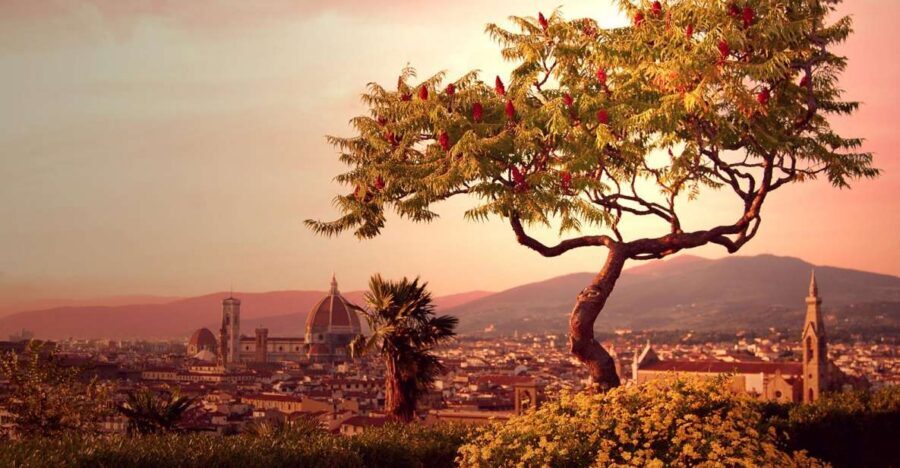 From Rome: Day Trip to Florence by High-Speed Train - Key Points at a Glance