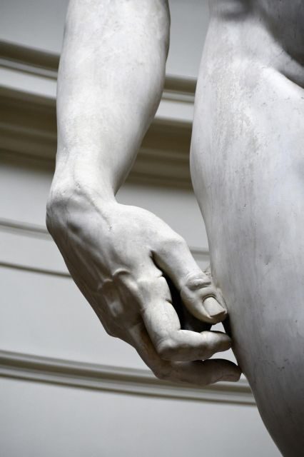 From Rome: Florence and Accademia Guided Tour - Value and Price: Is $288.88 a Good Deal?