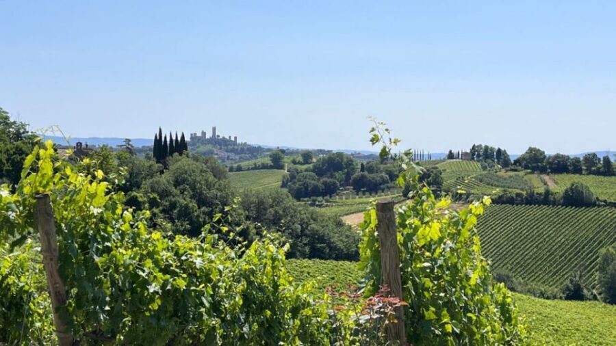 From Rome: Florence & Tuscany Day Tour by High-Speed Train - The full-day schedule: balancing walking, tasting, and train time