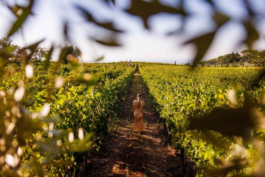 From Rome: Frascati Wine Region Tour with Wine Tasting - Frascati in three hours: the Rome-to-vineyard reset
