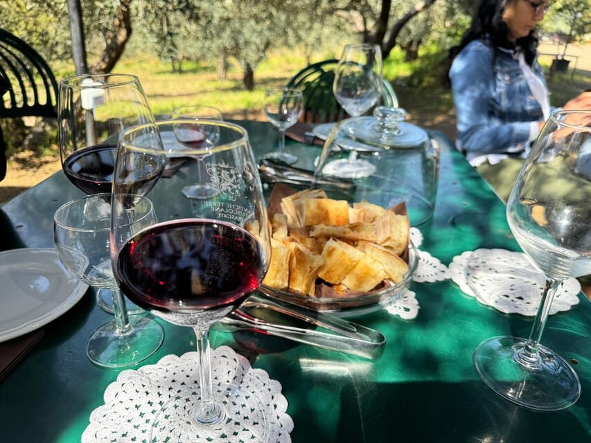 From Rome: Frascati Wine Tour with Lunch and Vineyard tour - Key Points You’ll Care About